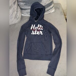 Hollister Women's Navy Hoodie